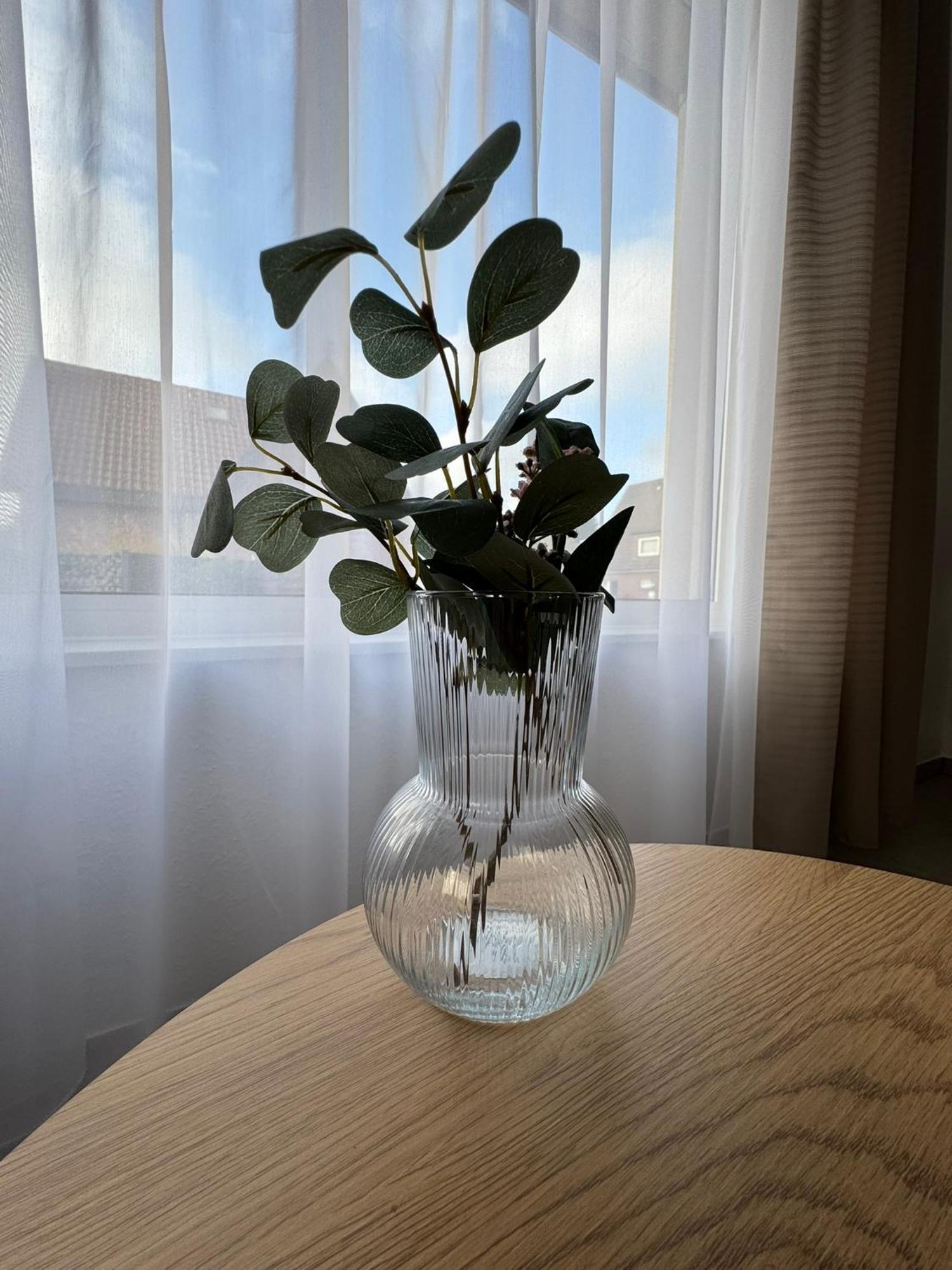 Rheiner Wohlfuehlsuite Mit Garten